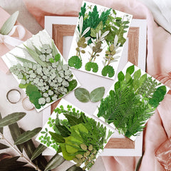 MIKIYA assorted dried leaves ideal for DIY scrapbooking and crafts.