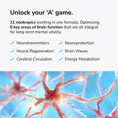 Mind Lab Pro MLP v4 pills closeup shows natural capsules for steady focus