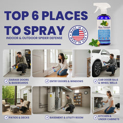 Indoor spray around baseboards and corners by Mint Naturals