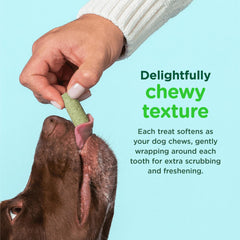 Minties FreshBites natural breath fresheners alfalfa peppermint parsley on label