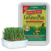 Miracle Care Cat A'bout Cat Grass Kit packaging, ready to grow indoors.