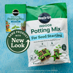 Miracle-Gro Indoor Potting Mix seed starting tray setup shows even seedling development