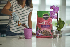 Miracle-Gro Orchid Potting Mix coarse blend demonstrates dry conditions for epiphytes