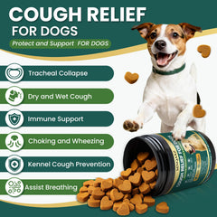 MNQAXZ Dog Cough Relief Chews dosing scene showing measured chews for convenient care