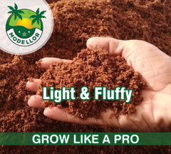 MODELLOR coco coir expands to nine gallons for larger planting projects