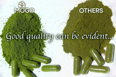 MOGO Moringa capsules bottle on counter with glass of water