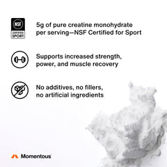 Momentous Creatine Monohydrate Powder tub shows solubility and neutral taste promise.