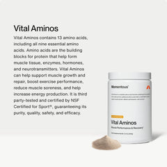 Momentous Vital Aminos scoop ready to mix with your beverage.