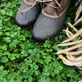 Mountain Valley Seed Company's microclover-seed for dense coverage and a low-maintenance lawn.
