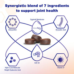 Movoflex hip and joint support aids active dogs on the go.
