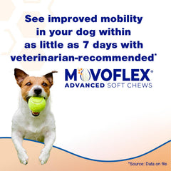 Movoflex soft chews chicken flavor close-up shows tasty daily treat.