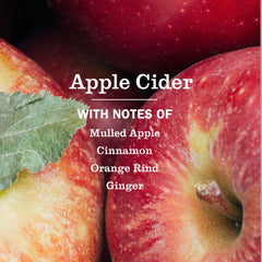Close-up of spray bottle showing fresh Apple Cider scent while cleaning surfaces.