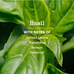 Mrs. Meyer's basil-scent spray on countertops provides a refreshing fragrance.