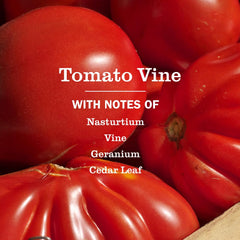 Front label of Mrs. Meyer's Tomato Vine soap highlighting cruelty-free ingredients.