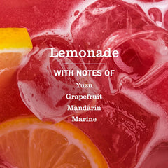 Close-up of Lemonade scent label on Mrs. Meyer's hand soap emphasizing plant-based cleansing