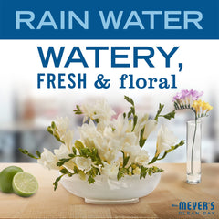 Pour spout view of Mrs. Meyer's Rain Water detergent for easy dosing.