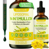 Muechaya Mullein Drops bottle pour demonstrates easy dosing for daily lung support.