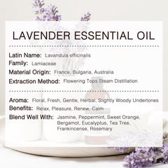 MUNUSNA Lavender Oil diffuser scene shows room aroma and relaxation potential.