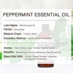 MUNUSNA peppermint oil dropper close-up shows pure quality