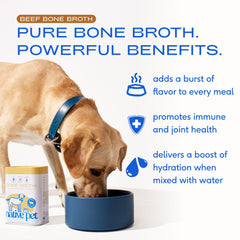 Native Pet bone broth powder scoop shown for easy serving.