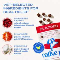 Native Pet probiotiques pour chiens, aidant le microbiome urinaire.