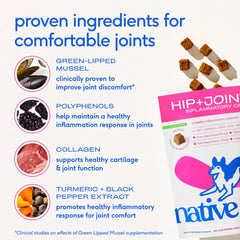 Native Pet Inflammatory Care – collagene pour cartilage et flexibilité.