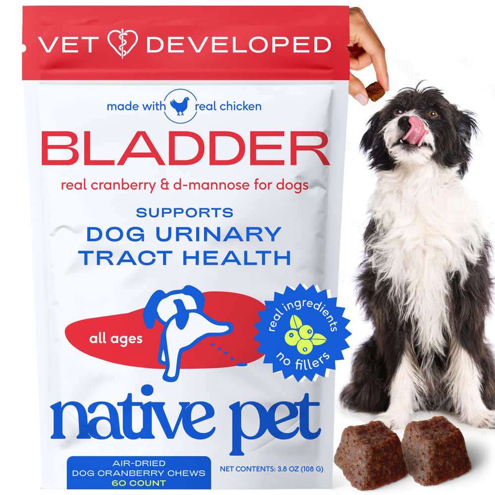 Native Pet UTI chews with cranberry extract for daily bladder support.
