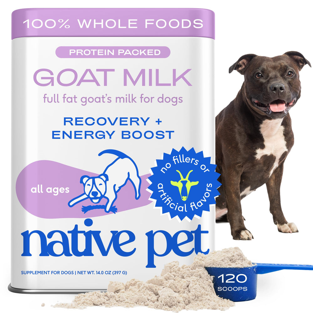 Native Pet Goat Milk Powder bag close-up shows pure ingredients for active dogs