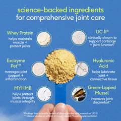 Native Pet powder being mixed into dog food for convenient use.