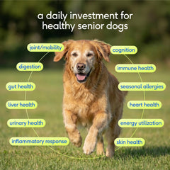 Native Pet Senior scoop with powder for easy daily dosing.