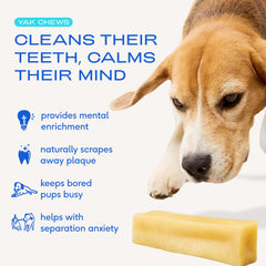 Native Pet Yak Cheese Himalayan dog chews closeup texture shows dense, protein-rich chew.