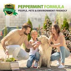Natural Armor can be used outdoors on sidewalks and driveways for protection.