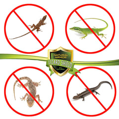 Indoor application area ready for Natural Armor Lizard Repellent.