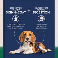 Natural Balance brown-rice-digestive-fiber illustration, supports easy digestion.