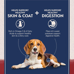 Natural Balance grain-free kibble close-up emphasizes grain-free nutrition.