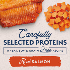 Limited ingredient dog food label close-up showing absence of artificial colors.