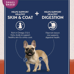 Natural Balance small-breed kibble in a bowl with easy-to-chew bite-size portions.