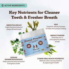 Natural Dog Company dental powder helping reduce plaque and tartar buildup over time.
