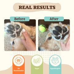 Applying Paw Soother Balm to a dog's paw after outdoor activity