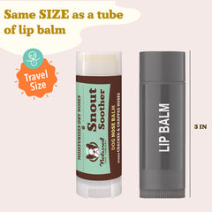 Natural Dog Company Snout Soother balm ingredients include coconut oil and shea butter.
