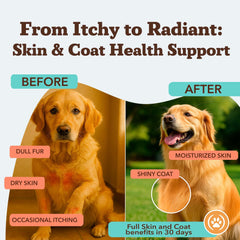 Natural Dog Company soft chews coat health help dogs enjoy easy daily supplementation.