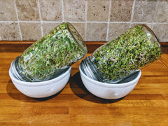 Natural Roots radish sprouts pack adds spice to dishes
