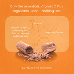 NaturaLife Labs elderberry ginger ingredients visual emphasizing natural antioxidants.