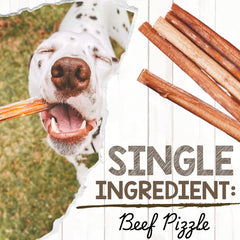 Nature Gnaws beef bully sticks 11-12 inch with savory scent encourages natural chewing