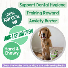 Nature Gnaws Bully Sticks designed for large dogs with grain-free chew