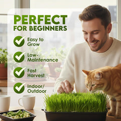 Nature Jims Sprouts cat grass setup ready for pets and easy indoor cultivation.