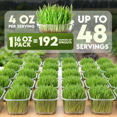 Nature Jims Sprouts quick-growing sprouts in six days for fresh meals.