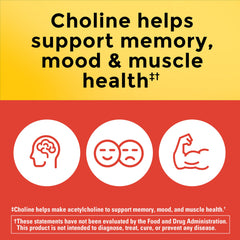Nature Made 800 mg choline capsules for memory and mood support