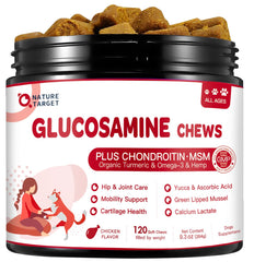 Nature Target dog joint chews bottle shows tasty formula designed for smoother movement.