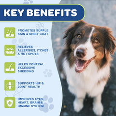 Nature Target ingrédients naturels sans additifs — formulation sûre pour chiens sensibles.